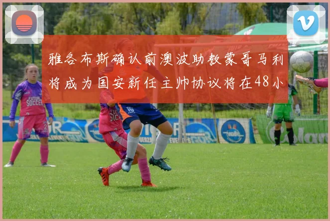 雅各布斯确认前澳波助教蒙哥马利将成为国安新任主帅协议将在48小时内签署