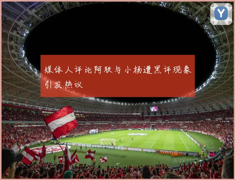 媒体人评论阿联与小杨遭黑评现象引发热议