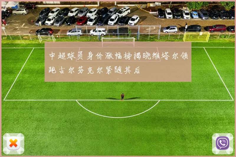 中超球员身价涨幅榜揭晓维塔尔领跑古尔芬克尔紧随其后