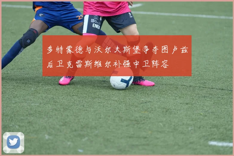 多特蒙德与沃尔夫斯堡争夺图卢兹后卫克雷斯维尔补强中卫阵容