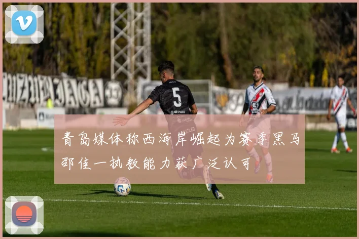 青岛媒体称西海岸崛起为赛季黑马邵佳一执教能力获广泛认可