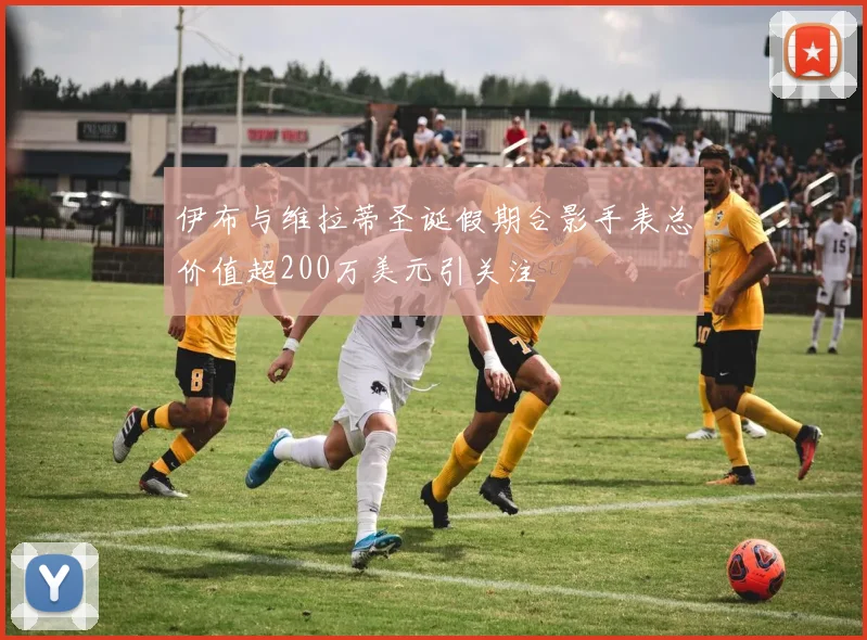 伊布与维拉蒂圣诞假期合影手表总价值超200万美元引关注