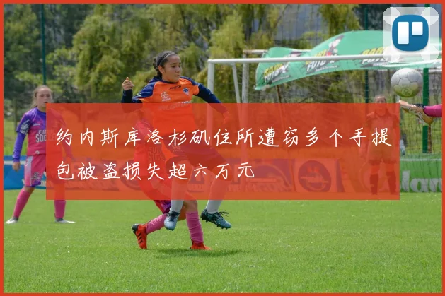 约内斯库洛杉矶住所遭窃多个手提包被盗损失超六万元